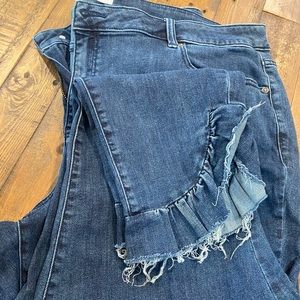 Slightly worn Lane Bryant (size 24) jeans